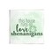 Stupell Industries Love & Shenanigans Family Shamrock Phrase Wall Plaque Art